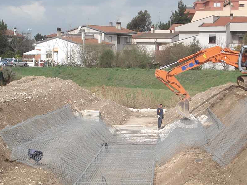 TORRENTE RENARO